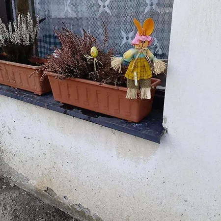 Gospodarstwo wiejskie U Petra *