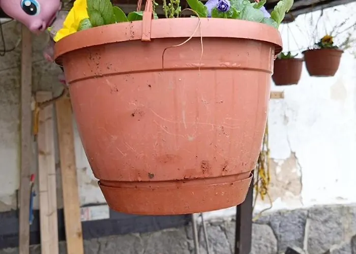 U Petra Casa rural