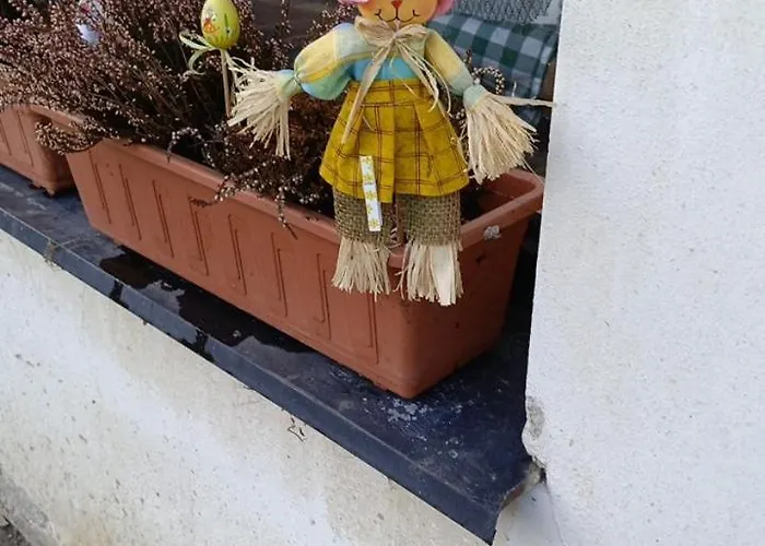 U Petra Casa rural *