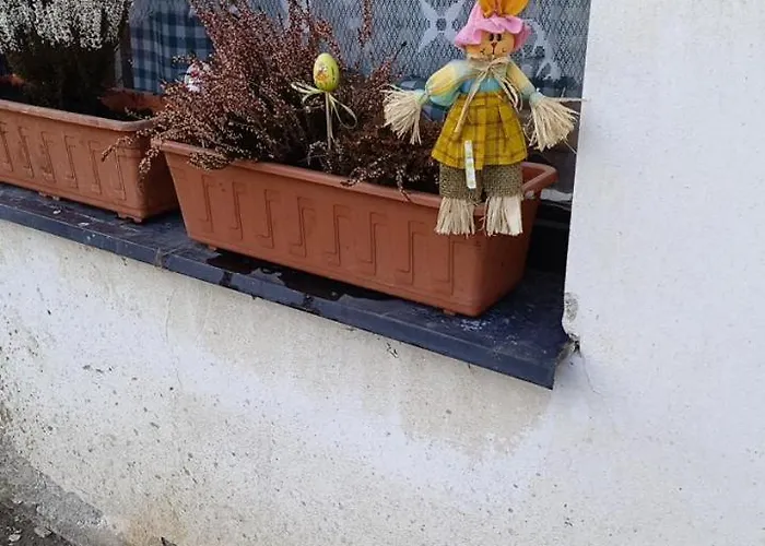 Casa rural U Petra *